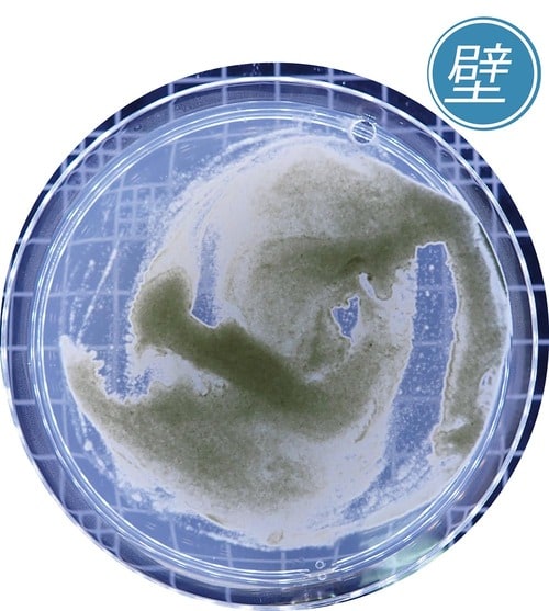 カビ防止力：◯ 防カビ剤おすすめ イメージ