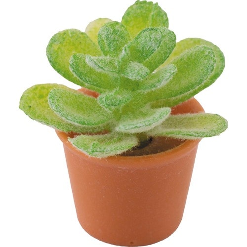 ⑤セリア「ミニチュア 観葉植物」 ミニチュアシリーズおすすめ イメージ