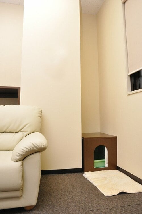 【Q1】ネコのトイレはどこに置くのがベストなの？ イメージ