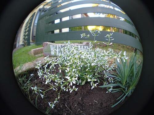 フィルタを使えば思いどおりの映像を残せます イメージ6