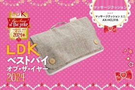 一年お疲れ、わたし。ルルドのクッションで自分だけの癒し空間を作っちゃおう【LDKベストバイ】