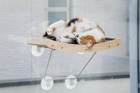 猫がダメになるベッド！ 猫用ウィンドウベッドのおすすめ4選。LDKが比較