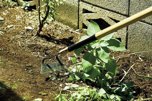 ストレート歯でザクザク削れる!千吉「ホーム草削り」 草取り器おすすめ イメージ3