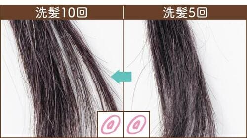 色持ち イメージ