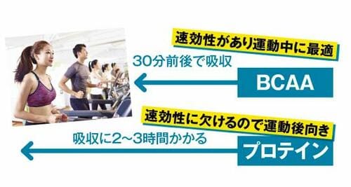 BCAAおすすめ イメージ2