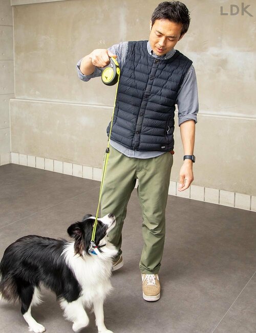 ショートリードとしても使える 犬用リードおすすめ イメージ