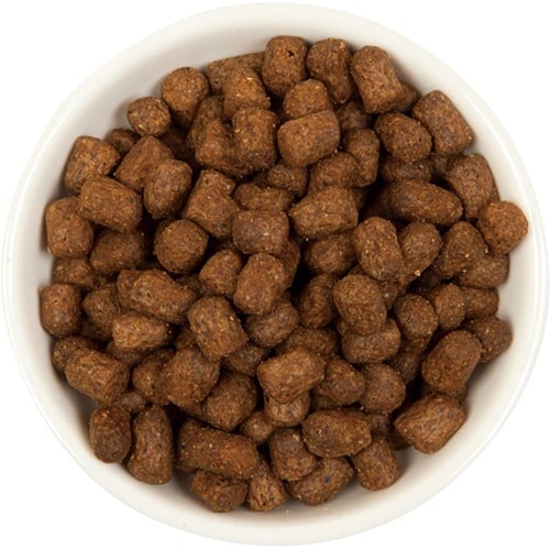 猫用ドライフードおすすめ レティシアン モグニャンキャットフード イメージ2