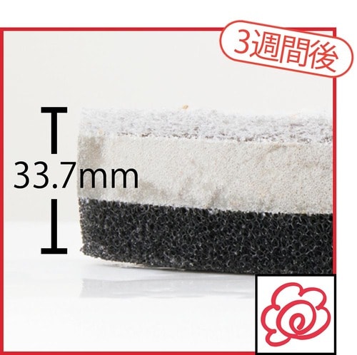 ほとんどヘタらないから泡持ちも続く イメージ2