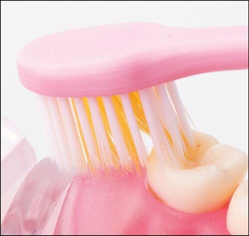 磨きやすさ：細かい部分の磨きやすさはトップ評価 歯ブラシおすすめ イメージ