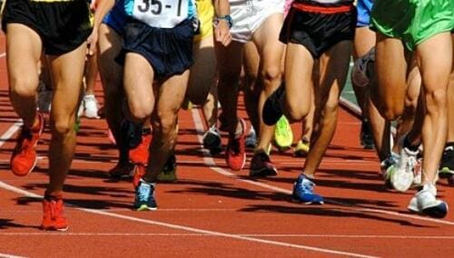 フィットネスシューズ選びがトレーニングの質を左右する フィットネスシューズおすすめ イメージ