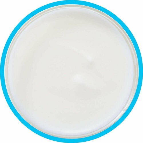 ヨーグルトおすすめ ヤスダヨーグルト プレーンヨーグルト イメージ2