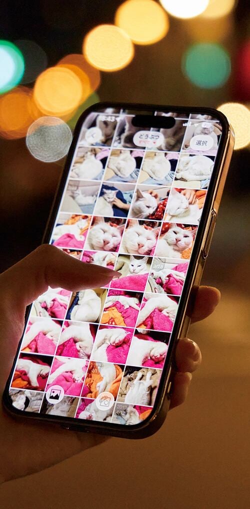 外出時に写真を見たり人に見せたりも可能です バッファロー「おもいでばこ」おすすめ イメージ