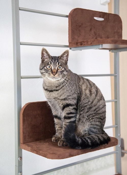 支柱にもう少しデザイン性がほしい キャットタワーおすすめ イメージ