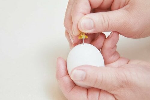 5つのルールを必ず守れば殻むきは失敗しません！ イメージ2