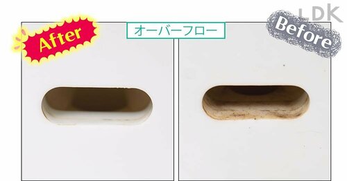 オーバフロー LDKベストバイ漂白泡スプレーおすすめ イメージ
