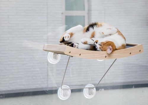 猫も飼い主さんも満足できるネコグッズはどれ? イメージ