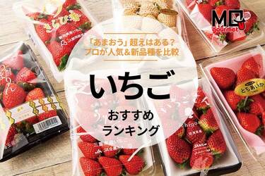いちごめろんさま専用 m様専用】ことりのブランコ いちご畑 - メルカリ