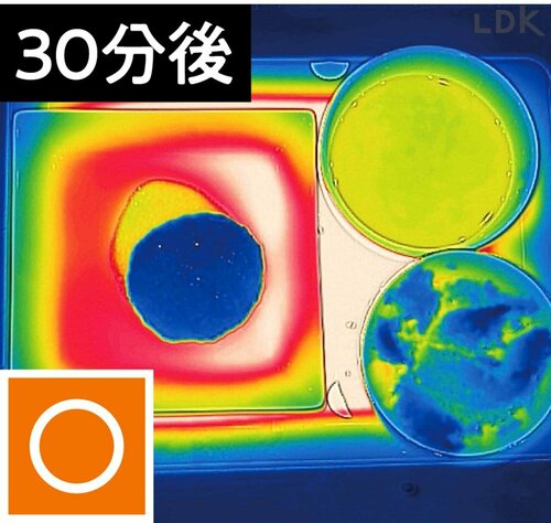お皿はアツアツだけど食べ物はほどほど イメージ2