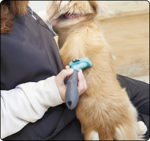 軽い＆コンパクトで女性でも扱いやすい 犬用ブラシおすすめ イメージ
