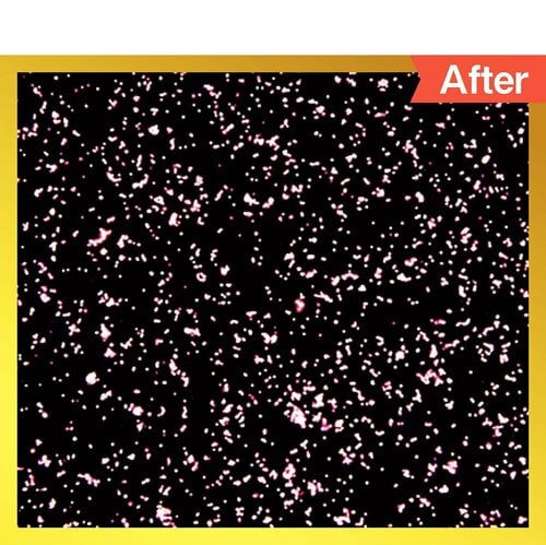 参考テスト：微粒子の数を17.6％除去 小型空気清浄機おすすめ イメージ2