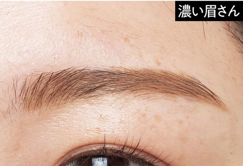 濃い眉さん 落ちにくいアイブロウおすすめ イメージ