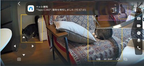 複数のペットも素早く検知！ 通知もスムーズ 見守りカメラおすすめ イメージ