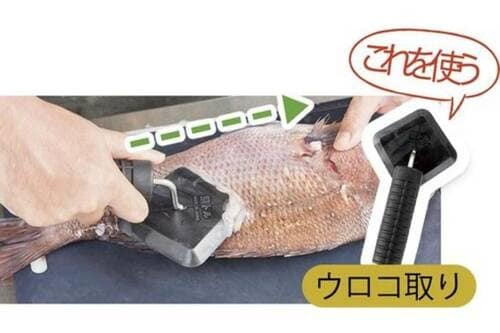 1:ウロコを取る 出刃包丁おすすめ イメージ