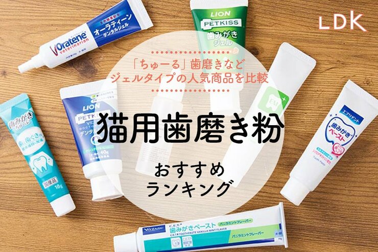 猫用歯磨き粉のおすすめランキング8選。「ちゅーる」などジェルタイプの人気商品を比較