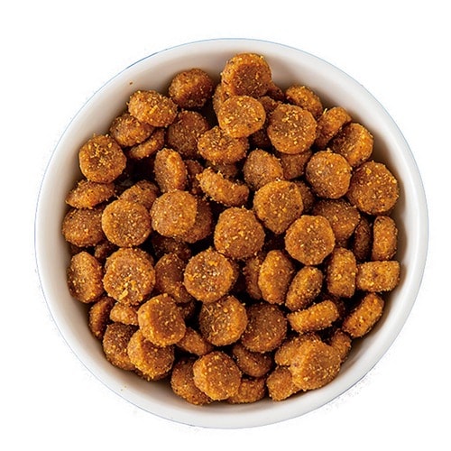 猫用ドライフードおすすめ 日本ヒルズ・コルゲート サイエンス・ダイエット〈プロ〉毎日の活力維持機能 イメージ2