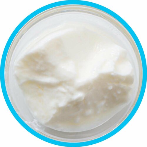 ヨーグルトおすすめ 中沢乳業 中沢ジョージアヨーグルト イメージ2