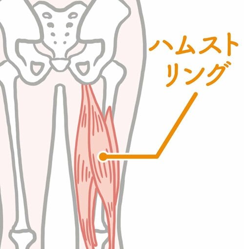 →股関節周りの柔軟性を高めましょう ズボラストレッチおすすめ イメージ
