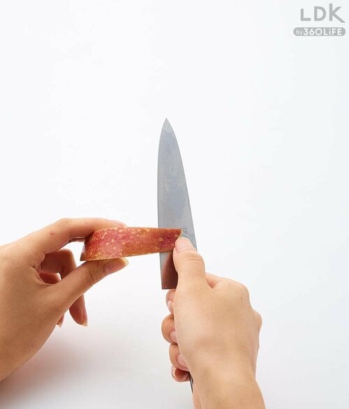 ペティナイフ(120mm) ペティナイフおすすめ イメージ