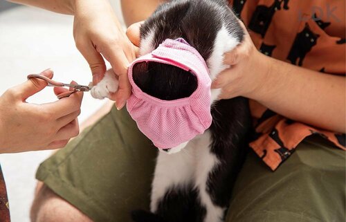 暴れにくさ 猫用爪切り補助具おすすめ イメージ