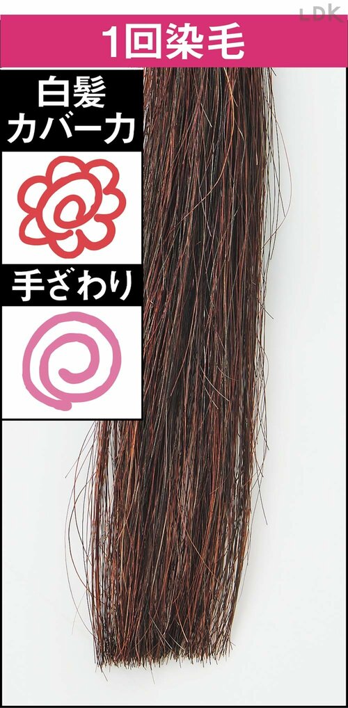 1回染毛 白髪染めトリートメントおすすめ イメージ