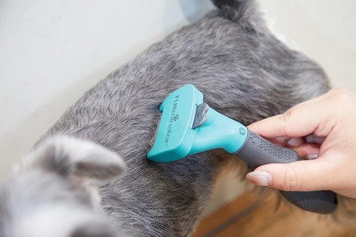 軽い＆コンパクトで女性でも扱いやすい 犬用ブラシおすすめ イメージ3