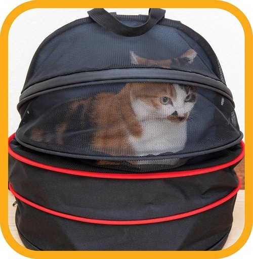メッシュの面積が多すぎる 猫用キャリーバッグおすすめ イメージ