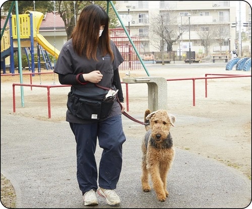 選び方2：歩きやすさ 犬のお散歩バッグおすすめ イメージ