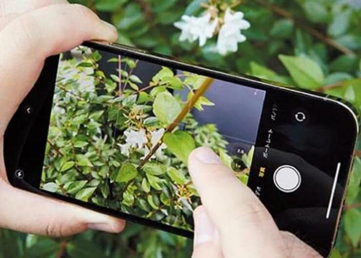 iPhoneで良い写真が撮れる！ 設定＆撮影時の5つのポイント｜『家電批評』が紹介