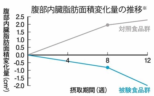 BMI高めの人の内臓脂肪に働きかける トクホの緑茶おすすめ イメージ
