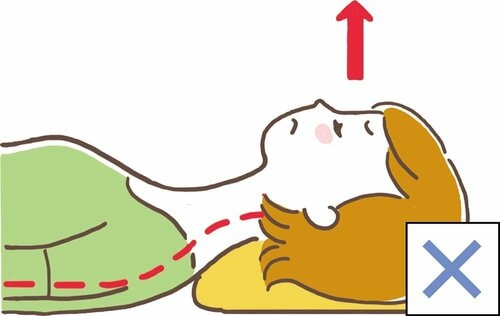 1：立ったときと同じ姿勢になる枕を選ぼう ふわふわ枕おすすめ イメージ2
