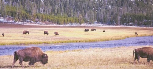 明るい部屋でも4Kの高画質を十分発揮! 家電ベストバイ オブザイヤーおすすめ イメージ