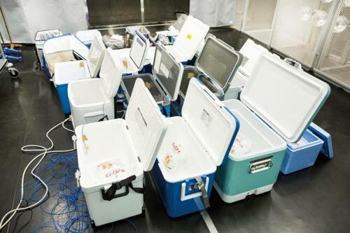検証1：保冷性［20点満点評価］真夏環境を再現して温度変化を測定 イメージ