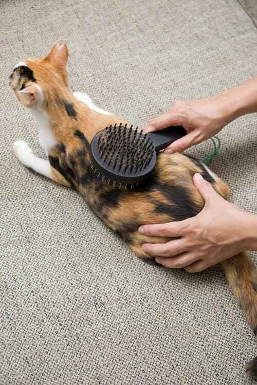 イケア「ルールヴィグ ブラシ」2