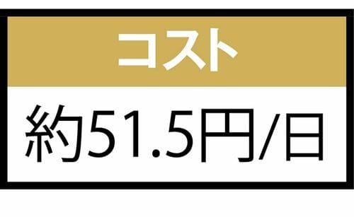 コスト：やや高めで2位に届かず イチョウ葉エキスサプリおすすめ イメージ
