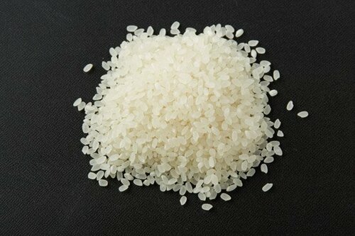ほのかな甘さでさっぱり!新潟「こしいぶき」がベスト