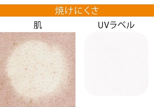 検証1:焼けにくさ イメージ