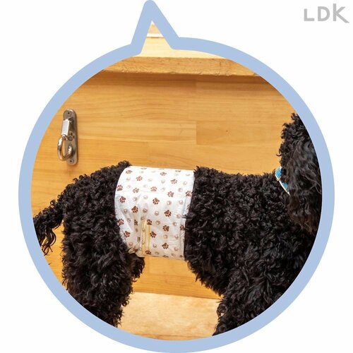 オシッコすると色が変わる 犬用おむつおすすめ イメージ
