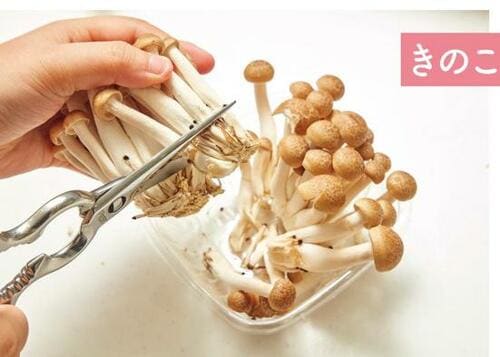 お鍋ならこれ一つで作れちゃう イメージ