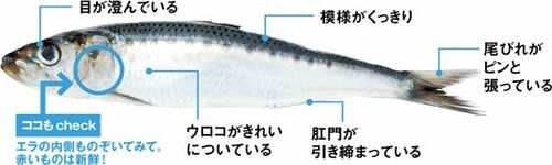 下処理を頼む前にポイントをおさえておきましょう イメージ