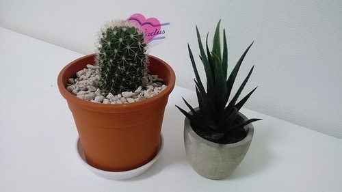 カメラ:微妙 ガラホおすすめ イメージ